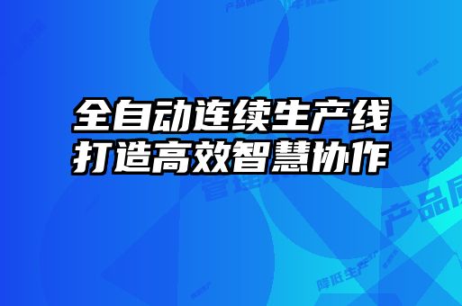 全自动连续生产线打造高效智慧协作