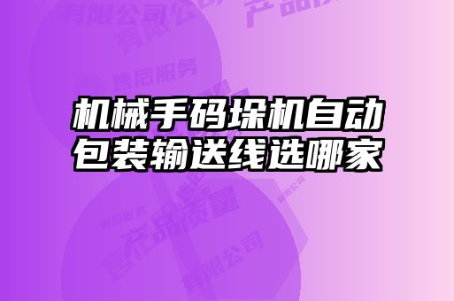 机械手码垛机自动包装输送线选哪家