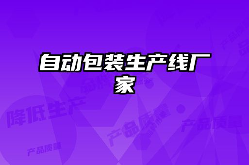 自动包装生产线厂家