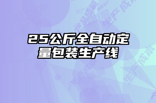 25公斤全自动定量包装生产线