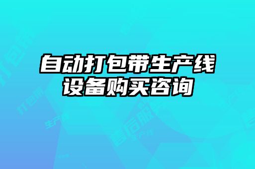 自动打包带生产线设备购买咨询