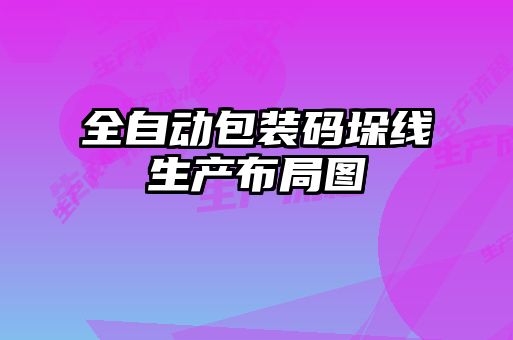全自动包装码垛线生产布局图