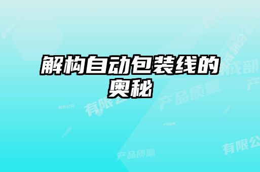 解构自动包装线的奥秘