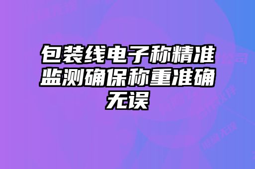 包装线电子称精准监测确保称重准确无误