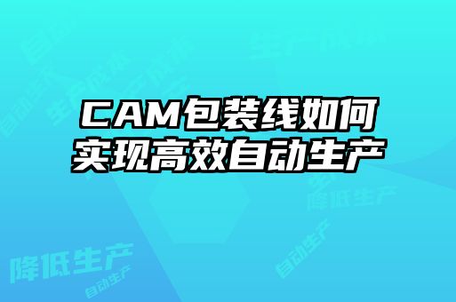 CAM包装线如何实现高效自动生产
