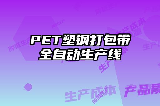 PET塑钢打包带全自动生产线