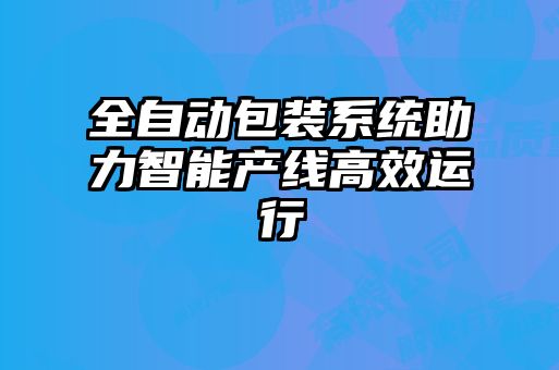 全自动包装系统助力智能产线高效运行