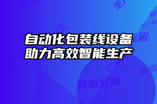 自动化包装线设备助力高效智能生产