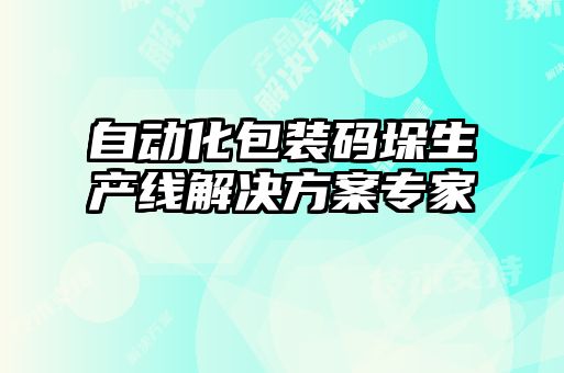 自动化包装码垛生产线解决方案专家