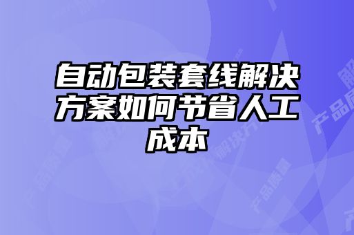 自动包装套线解决方案如何节省人工成本