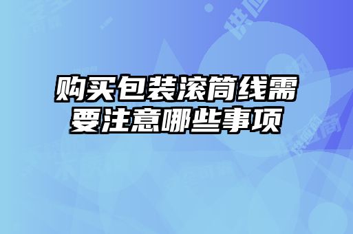 购买包装滚筒线需要注意哪些事项